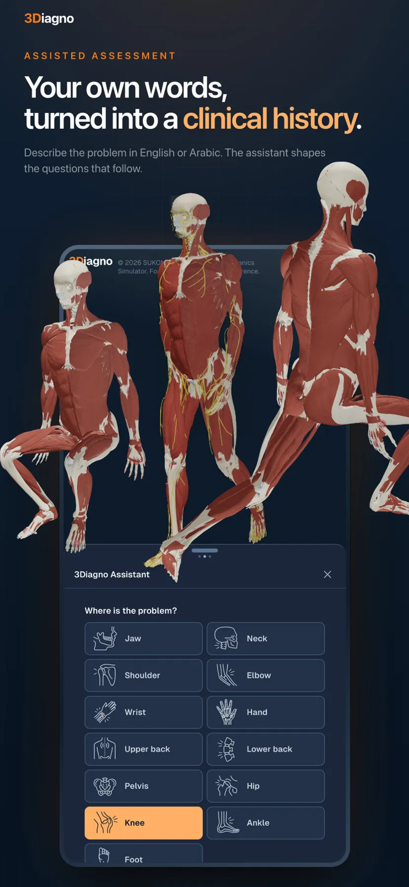 3Diagno on a phone: the assistant asking where the problem is, listing regions from jaw to foot.